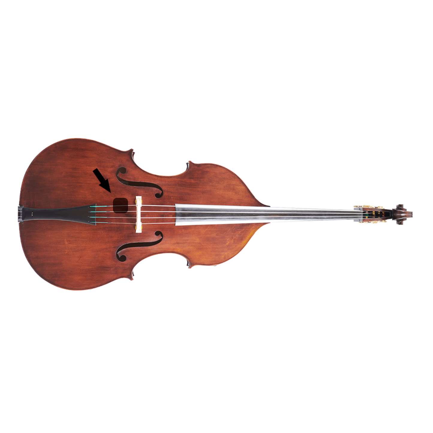 LARS CM-B MKII (Contrebasse)